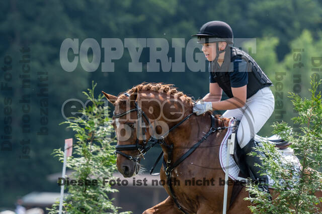 Goldene Schärpe 2021 - Ponys