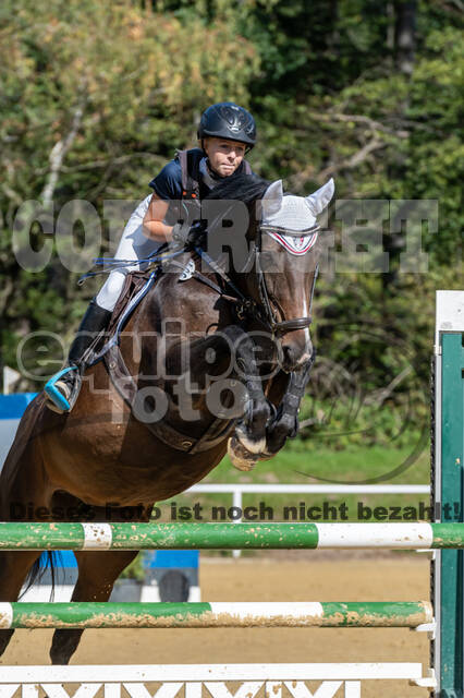 RFV Dinslaken-Hiesfeld (Herbstturnier)