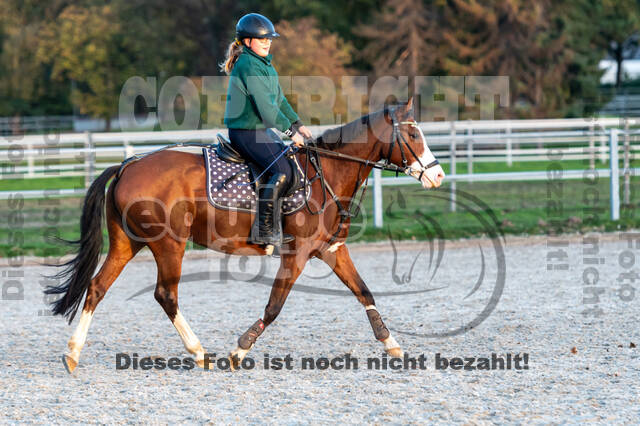 IGV Lehrgang der Sieger der Cups mit Frank Ostholt