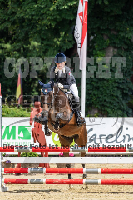 Goldene Schärpe 2021 - Ponys