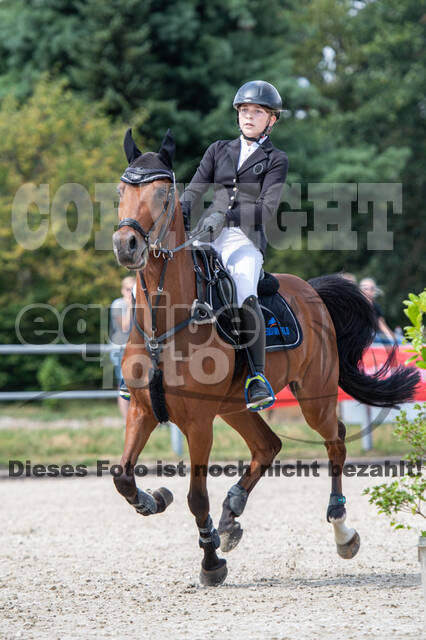 Landesturnier Rheinland, Vielseitigkeit, 22.+23.08.2020