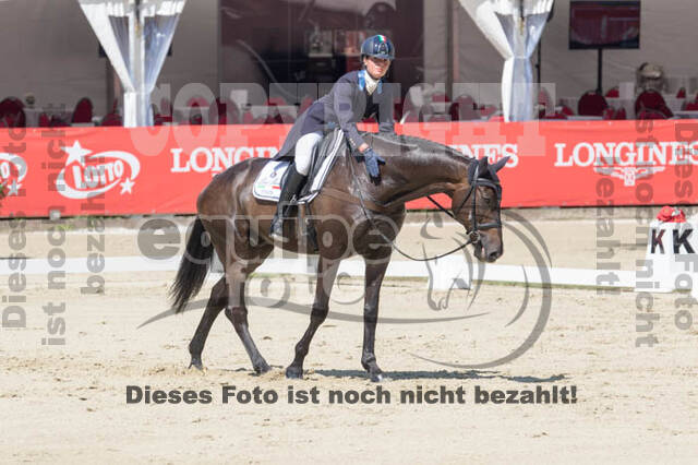 FEI European Championship