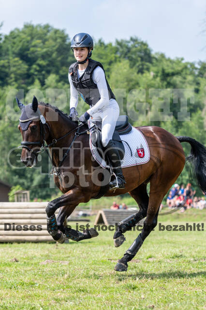 Goldene Schärpe 2021 - Ponys