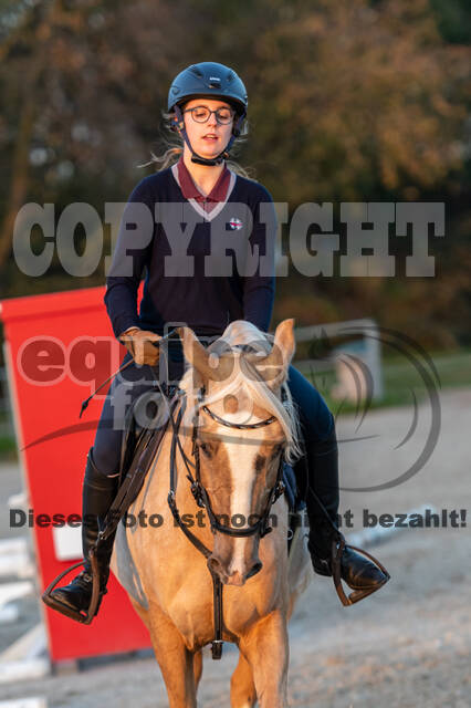 IGV Lehrgang der Sieger der Cups mit Frank Ostholt