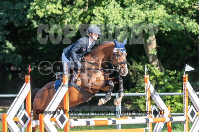 Late-Entry-Vielseitigkeit Langenfeld (06.+07.07.2020)