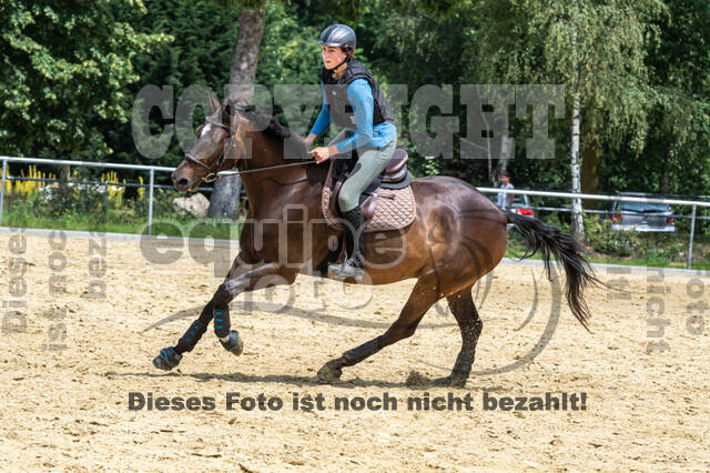 Hunter Geländetraining 10.07.2021 (Sonsbeck)