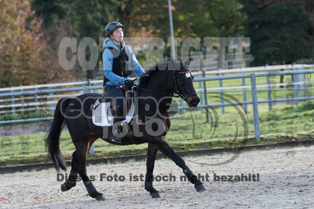IGV Lehrgang der Sieger der Cups mit Frank Ostholt