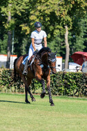 Kronenberg - De Peelbergen (August 2020)