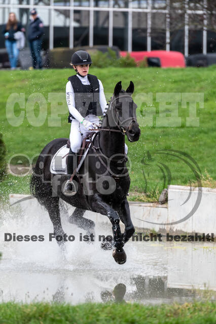 Goldene Schärpe 2020 - Pferde