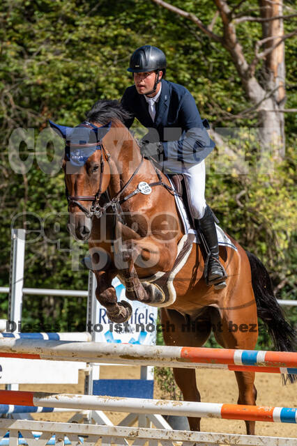 RFV Dinslaken-Hiesfeld (Herbstturnier)