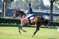 De Peelbergen (August 2020)