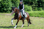Goldene Schärpe 2021 - Ponys