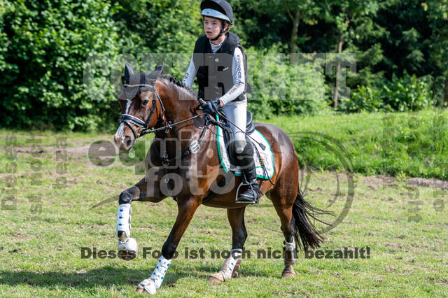Goldene Schärpe 2021 - Ponys