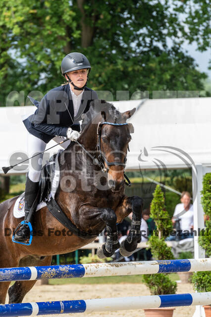 Goldene Schärpe 2021 - Ponys