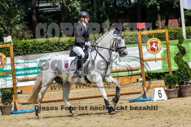 Goldene Schärpe 2021 - Ponys