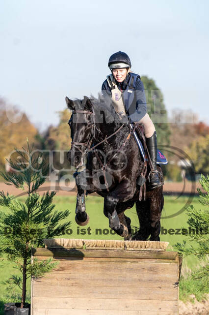 Vielseitigkeitslehrgang mit Jürg Kurbel (9.+10.11.2019)