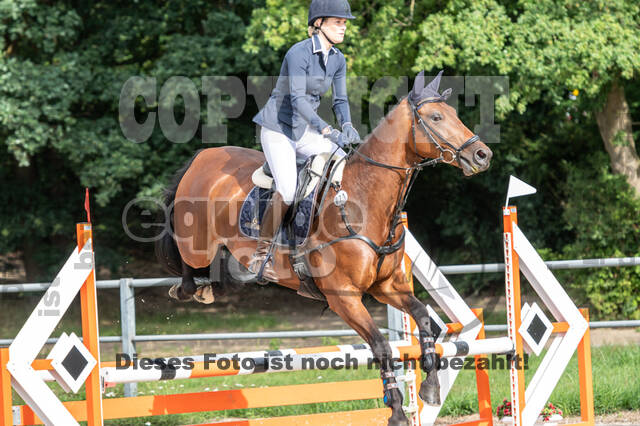 Late-Entry-Vielseitigkeit Langenfeld (06.+07.07.2020)