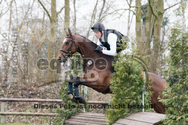 Jungpferdetag Hamminkeln