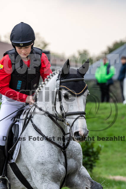 Goldene Schärpe 2020 - Pferde