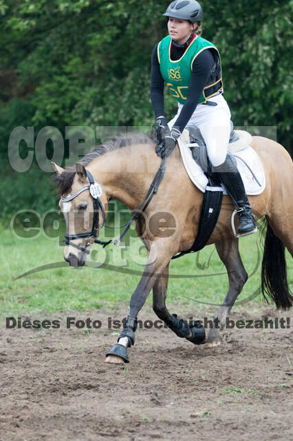 Vielseitigkeitsturnier ZRFV von Lützow Hamminkeln