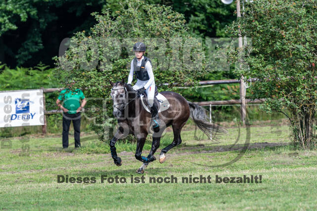 Goldene Schärpe 2021 - Ponys
