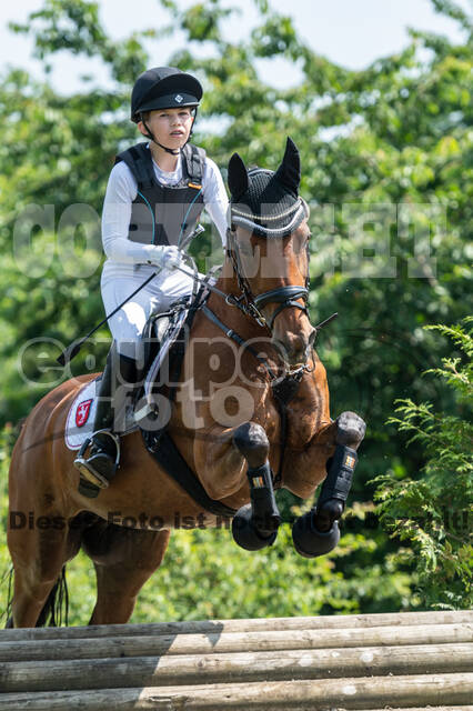 Goldene Schärpe 2021 - Ponys