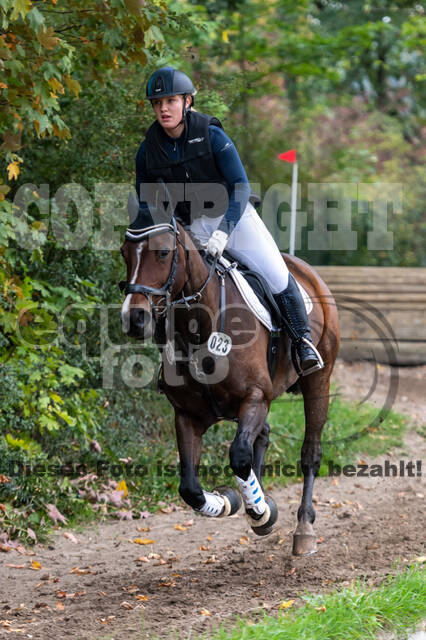 Goldene Schärpe 2020 - Pferde