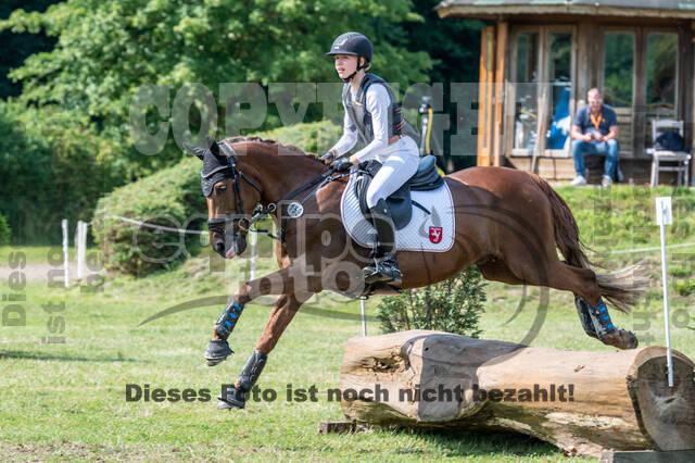 Goldene Schärpe 2021 - Ponys