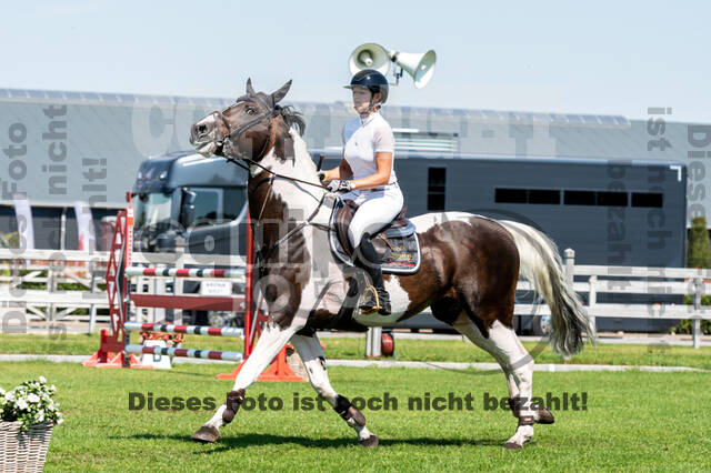 Kronenberg - De Peelbergen (August 2020)