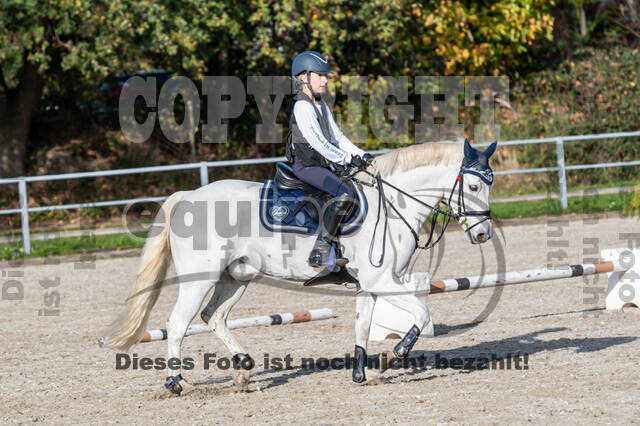 IGV Lehrgang der Sieger der Cups mit Frank Ostholt