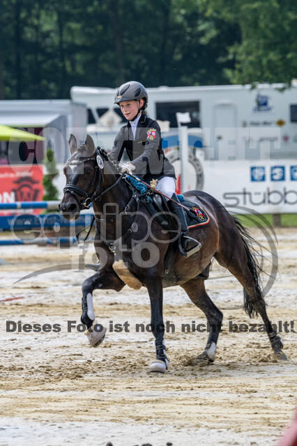 Goldene Schärpe 2021 - Ponys