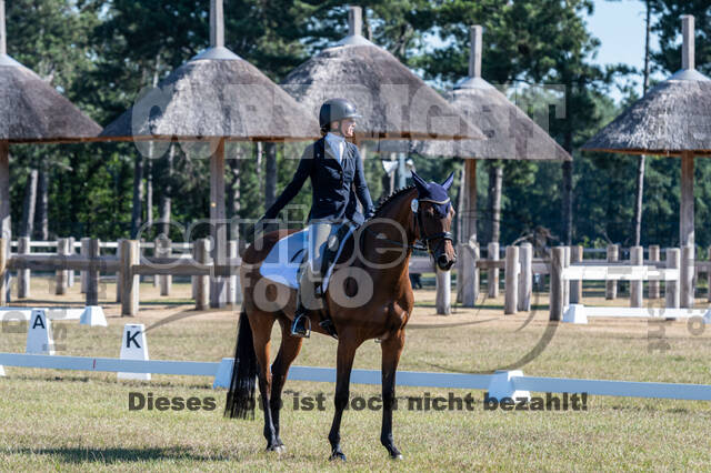 Kronenberg - De Peelbergen (August 2020)