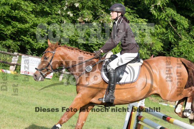 Vielseitigkeitsturnier ZRuFV von Lützow Hamminkeln