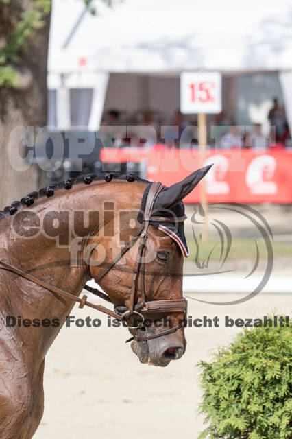 European Championship Eventing 2017