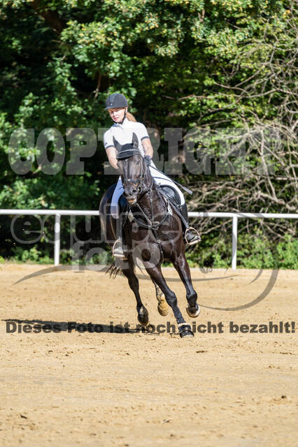 RFV Dinslaken-Hiesfeld (Herbstturnier)