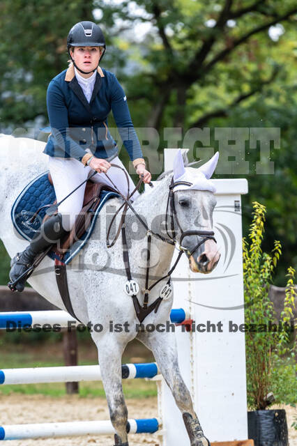 Vielseitigkeit RSV Wesel Obrighoven (26.+27.09.2020)