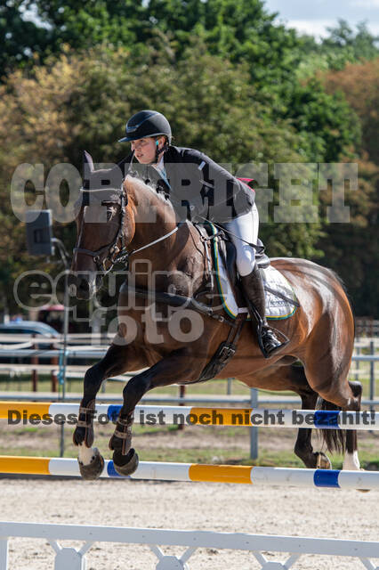 Landesturnier Rheinland, Vielseitigkeit, 22.+23.08.2020