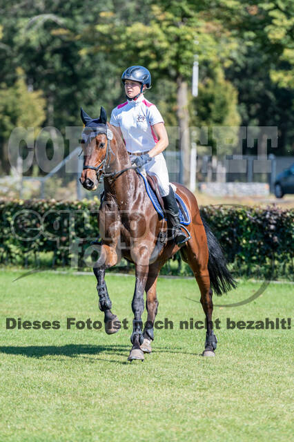 Kronenberg - De Peelbergen (August 2020)