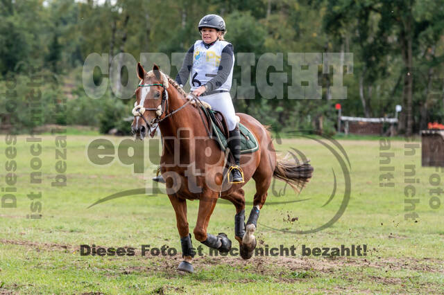 Vielseitigkeit RSV Wesel Obrighoven (26.+27.09.2020)