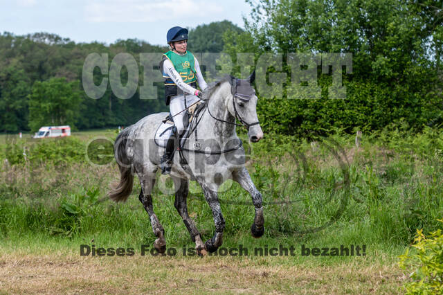 Westerstede Horse Trials (10.-13.06.2021)