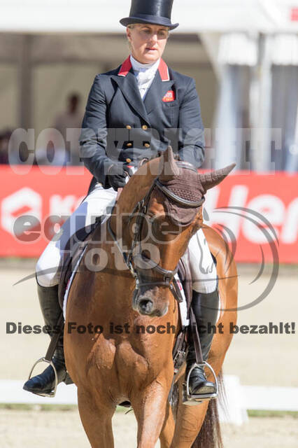 FEI European Championship Eventing 2017