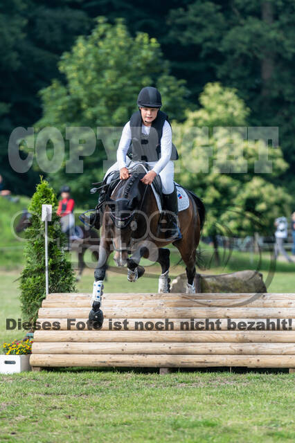 Goldene Schärpe 2021 - Ponys