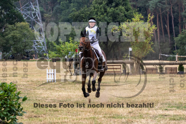 Late-Entry Vielseitigkeit Hamminkeln/Wesel (01.+02.08.2020)