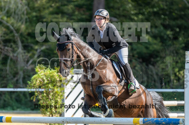 RFV Dinslaken-Hiesfeld (Herbstturnier)