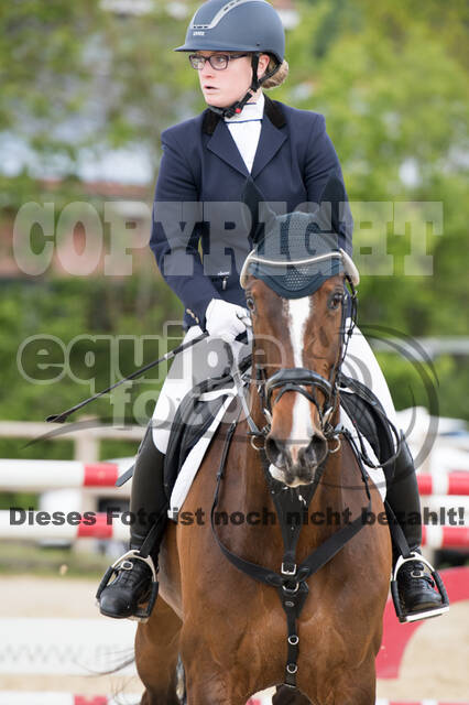 Sterne über Münster 2019 - CCI***S