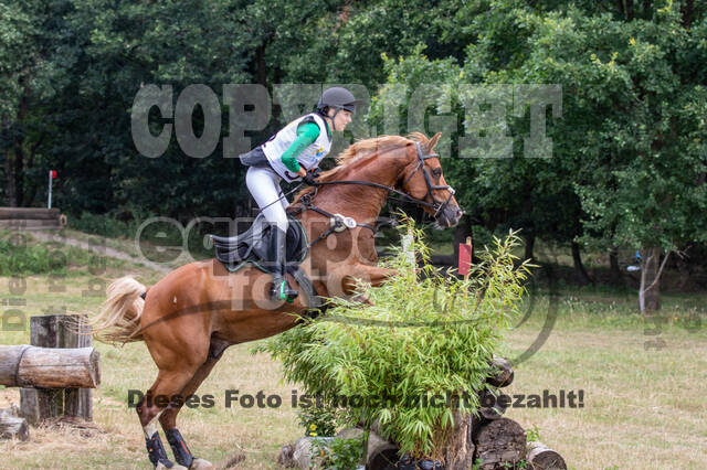 Late-Entry Vielseitigkeit Hamminkeln/Wesel (01.+02.08.2020)