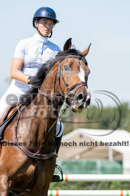 Kronenberg - De Peelbergen (August 2020)