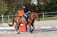 IGV Lehrgang der Sieger der Cups mit Frank Ostholt