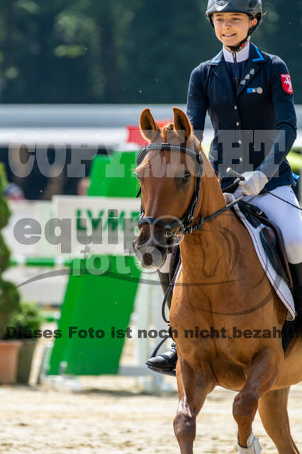 Goldene Schärpe 2021 - Ponys