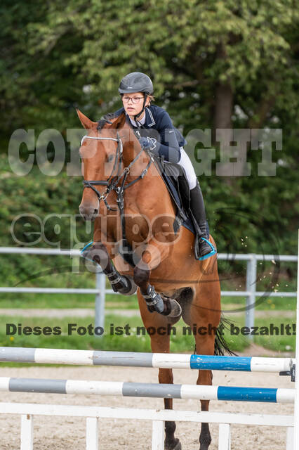 Late-Entry-Vielseitigkeit Langenfeld (06.+07.07.2020)